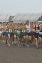2008-11-01_14-01-21.jpg