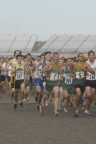 2008-11-01_14-01-22.jpg