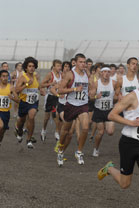 2008-11-01_14-01-29.jpg