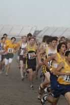 2008-11-01_14-01-31.jpg