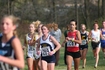 2008-11-01_15-09-12.jpg