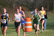 2008-11-01_15-09-16.jpg
