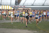2008-11-01_15-11-34.jpg