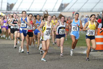 2008-11-01_15-11-43.jpg