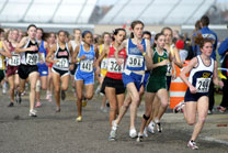 2008-11-01_15-11-44.jpg