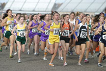 2008-11-01_15-11-48.jpg