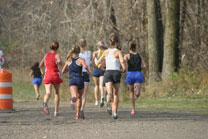 2008-11-01_15-18-11.jpg