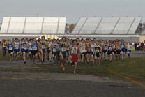 2008-11-01_13-32-38.jpg