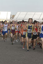 2008-11-01_13-32-51.jpg