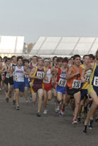 2008-11-01_13-32-52.jpg