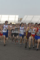 2008-11-01_13-32-53.jpg