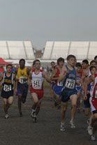 2008-11-01_13-33-03.jpg