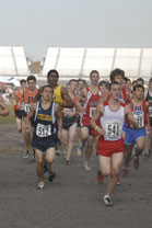 2008-11-01_13-33-05.jpg