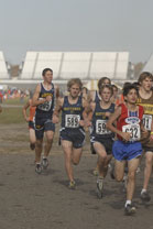 2008-11-01_13-33-13.jpg