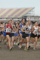 2008-11-01_14-31-00.jpg