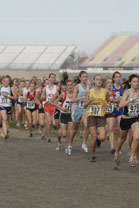 2008-11-01_14-31-02.jpg