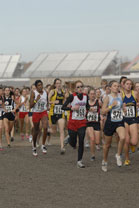 2008-11-01_14-31-04.jpg