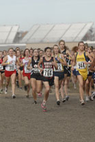 2008-11-01_14-31-06.jpg