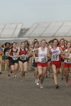 2008-11-01_14-31-07.jpg