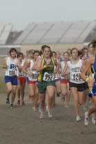 2008-11-01_14-31-13.jpg