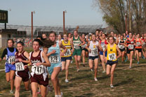 2008-11-01_14-32-05.jpg