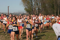2008-11-01_14-32-17.jpg