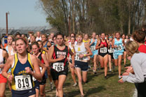 2008-11-01_14-32-19.jpg