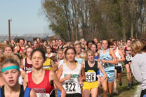 2008-11-01_14-32-26.jpg