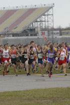 2008-11-01_10-30-51.jpg