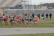 2008-11-01_11-30-41.jpg