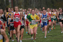 2008-11-01_11-32-25.jpg