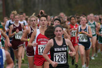2008-11-01_11-32-32.jpg