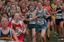 2008-11-01_11-32-36.jpg