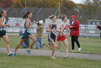 2008-11-01_11-40-12.jpg
