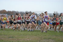 2008-11-01_11-40-17.jpg