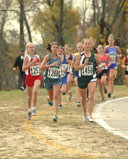 2008-11-01_11-46-53.jpg