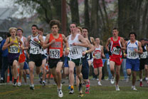 2008-11-01_10-04-21.jpg
