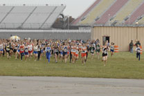 2008-11-01_11-00-57.jpg