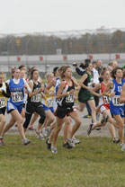 2008-11-01_11-01-15.jpg