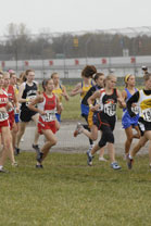 2008-11-01_11-01-17.jpg
