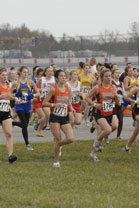 2008-11-01_11-01-21.jpg