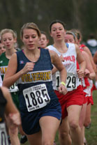2008-11-01_11-03-15.jpg