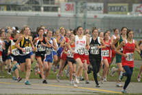 2008-11-01_11-10-31.jpg
