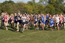 2008-10-10_16-45-38.jpg