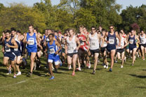 2008-10-10_16-45-39.jpg