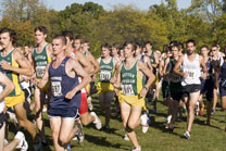 2008-10-10_16-45-42.jpg