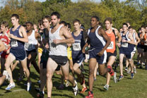 2008-10-10_16-45-43.jpg