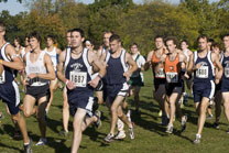 2008-10-10_16-45-44.jpg