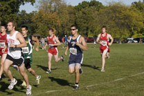 2008-10-10_16-45-48.jpg