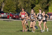 2008-10-10_17-24-31.jpg